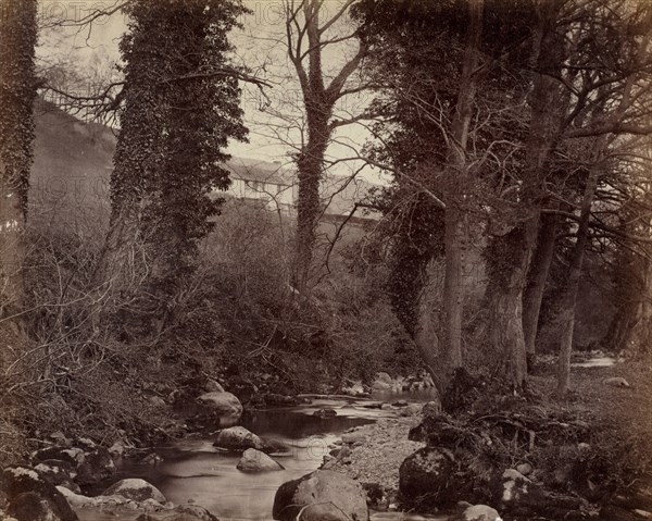 Untitled, c. 1859. John Lloyd (British, 1865). Albumen print from wet collodion negative; image: 15 x 19.6 cm (5 7/8 x 7 11/16 in.); matted: 30.6 x 35.6 cm (12 1/16 x 14 in.)