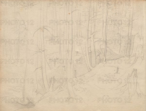 Album with Views of Rome and Surroundings, Landscape Studies, page 01b: Roman Landscape. Franz Johann Heinrich Nadorp (German, 1794-1876). Graphite;