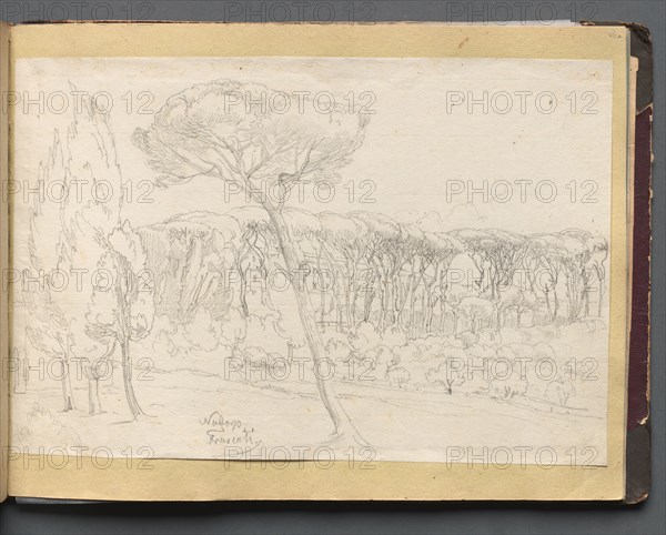 Album with Views of Rome and Surroundings, Landscape Studies, page 46a: "Frasciti". Franz Johann Heinrich Nadorp (German, 1794-1876). Graphite on white paper laid down on yellow paper;