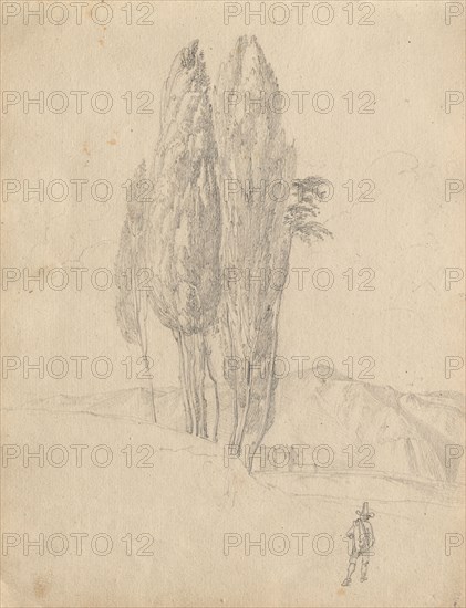 Album with Views of Rome and Surroundings, Landscape Studies, page 20a: Trees. Franz Johann Heinrich Nadorp (German, 1794-1876). Graphite