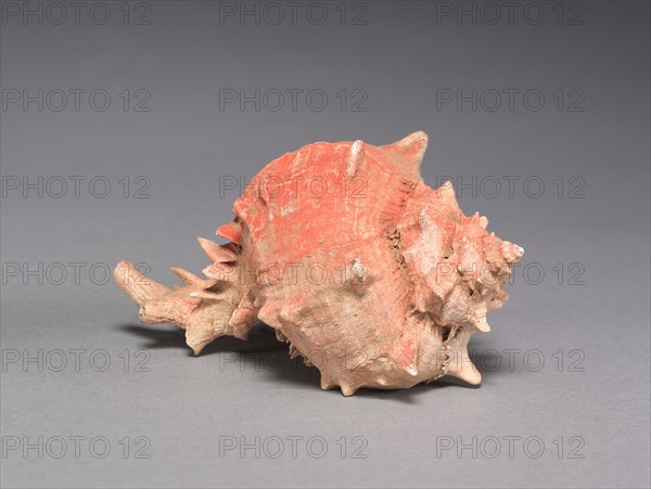 Offering Group: Large Shell, c. 800-1200(?). Mexico, Guerrero(?), San Jerónimo de Juárez, Xochicalco style. Shell, red pigment; overall: 12 cm (4 3/4 in.).