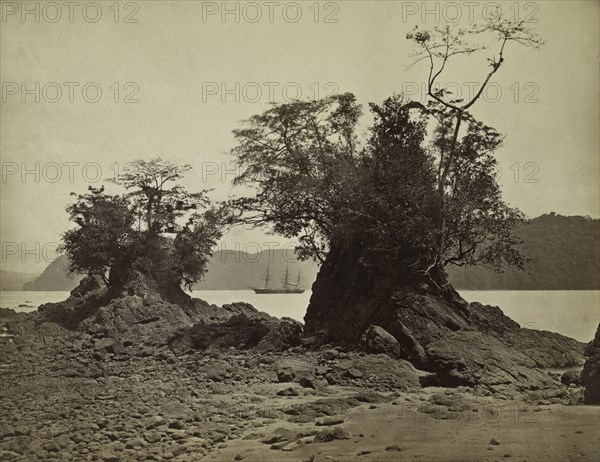 Islands in Limón Bay, 1871. John Moran (American, 1829-1902). Albumen print from wet collodion negative; image: 22.3 x 28.5 cm (8 3/4 x 11 1/4 in.); matted: 40.6 x 50.8 cm (16 x 20 in.)