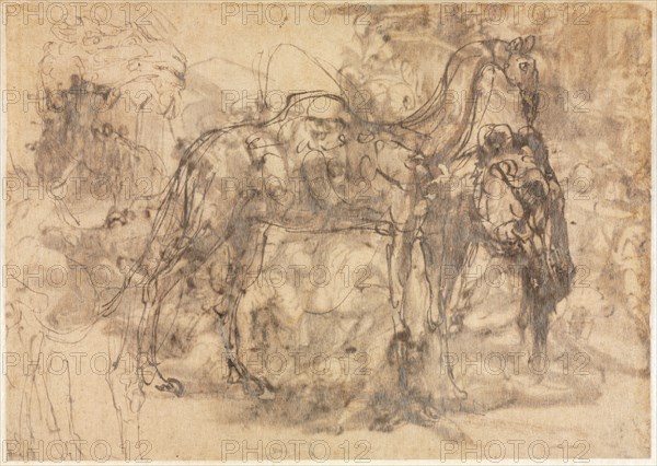 Sketches of Animals (verso), c. 1545/47. Perino del Vaga (Italian, 1500/01-1547). Pen and brown ink (iron gall) and brush and brown wash; sheet: 19.3 x 27.4 cm (7 5/8 x 10 13/16 in.); secondary support: 19.3 x 27.4 cm (7 5/8 x 10 13/16 in.).