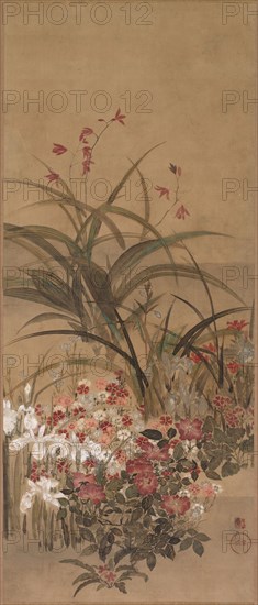 Summer Flowers, mid 1600s. Kitagawa Sosetsu (Japanese, active 1639-50). Hanging scroll; ink, color, and gold on paper; overall: 195.3 x 64.8 cm (76 7/8 x 25 1/2 in.); painting only: 107 x 45 cm (42 1/8 x 17 11/16 in.).