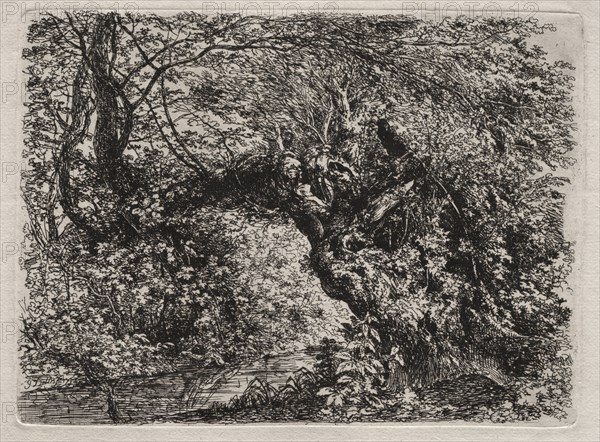 The Old Willow at a Brook, 1794. Georg von Dillis (German, 1759-1841). Etching