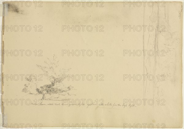 Landscape and Tree Studies (verso), c. 1851. David Johnson (American, 1827-1908). Graphite; sheet: 36.2 x 25.4 cm (14 1/4 x 10 in.).