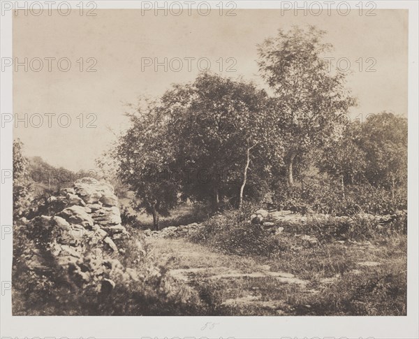 Untitled (Scene of Fontainbleau), c. 1853. André Giroux (French, 1801-1879). Salted paper print from waxed paper negative; image: 21.3 x 27.5 cm (8 3/8 x 10 13/16 in.); matted: 55.9 x 66 cm (22 x 26 in.)