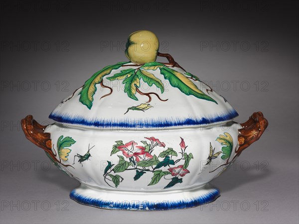 Tureen, c. 1870. Creil Factory (French), Félix Bracquemond (French, 1833-1914). Porcelain; overall: 21.6 cm (8 1/2 in.).