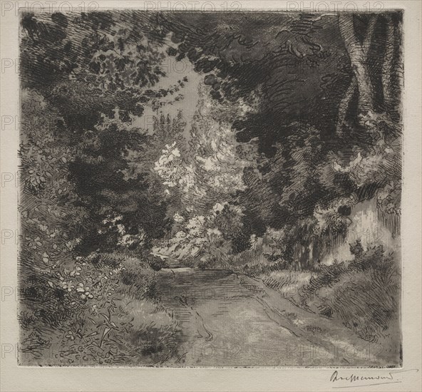 Road to Sèvres, c. 1872. Félix Bracquemond (French, 1833-1914). Etching and aquatint; sheet: 29.9 x 40.8 cm (11 3/4 x 16 1/16 in.); platemark: 21.5 x 23.1 cm (8 7/16 x 9 1/8 in.)