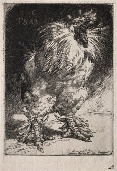 The French Cock, 1893. Félix Bracquemond (French, 1833-1914). Etching; sheet: 40.5 x 27.2 cm (15 15/16 x 10 11/16 in.); platemark: 33.3 x 23 cm (13 1/8 x 9 1/16 in.)