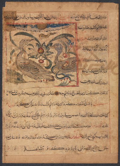 "Benefits of the Parts of Vultures" (From the Manafi' al-Haywan of Abu Sai'd Ubayd-Allay Ibn Bakhtishu) (verso), late 1200s. Iran, Marageh, Mongol Period (Ilkhanid), late 13th Century. Opaque watercolor, ink and gold on paper; image: 10.3 x 16.5 cm (4 1/16 x 6 1/2 in.); overall: 25.7 x 18.5 cm (10 1/8 x 7 5/16 in.); text area: 22.8 x 16.5 cm (9 x 6 1/2 in.).