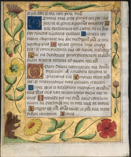 Leaf from a Psalter and Prayerbook: Ornamental Border with Flowers and Squirrel (verso), c. 1524. North Germany, Hildesheim (?), 16th century. Ink, tempera and liquid gold on vellum; each leaf: 16.6 x 13.5 cm (6 9/16 x 5 5/16 in.)