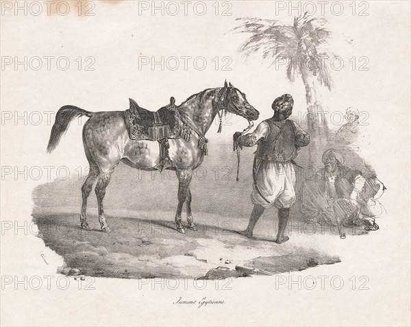 Egyptian Mare, 1822. Théodore Géricault (French, 1791-1824). Lithograph; sheet: 22 x 27.9 cm (8 11/16 x 11 in.); image: 18.1 x 23.5 cm (7 1/8 x 9 1/4 in.)