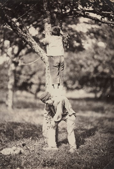 French Country Study: Two Boys Climbing a Tree, late 1870's. Auguste Giraudon's Artist (French). Albumen print from wet collodion negative; image: 17 x 11.6 cm (6 11/16 x 4 9/16 in.); paper: 17 x 11.6 cm (6 11/16 x 4 9/16 in.); matted: 45.7 x 35.6 cm (18 x 14 in.)