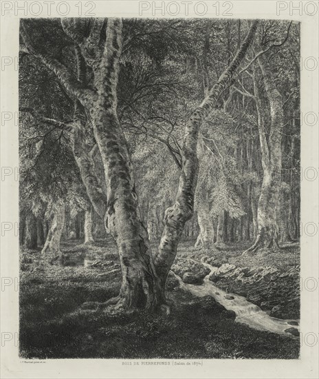 Bois de Pierrefonds, 1874. Adolphe Théodore Jules Martial Potémont (French, 1828-1883). Etching; sheet: 42.7 x 31.5 cm (16 13/16 x 12 3/8 in.); platemark: 30 x 25.6 cm (11 13/16 x 10 1/16 in.)