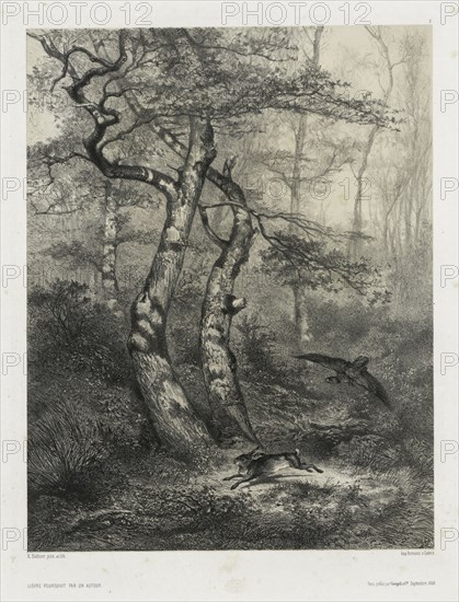 Hare Pursued by a Goshawk, 1858. Karl Bodmer (Swiss, 1809-1893), Goupil & Co., Paris. Lithograph on chine collé; sheet: 62.5 x 45 cm (24 5/8 x 17 11/16 in.); image: 39.5 x 30.5 cm (15 9/16 x 12 in.)