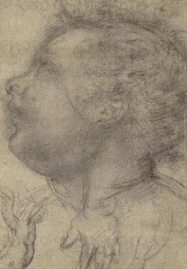 Head of a Child, an Angel, and a Hand, recto, Male Figure, verso, Fra Bartolommeo, Baccio della Porta, Italian, 1472 - 1517