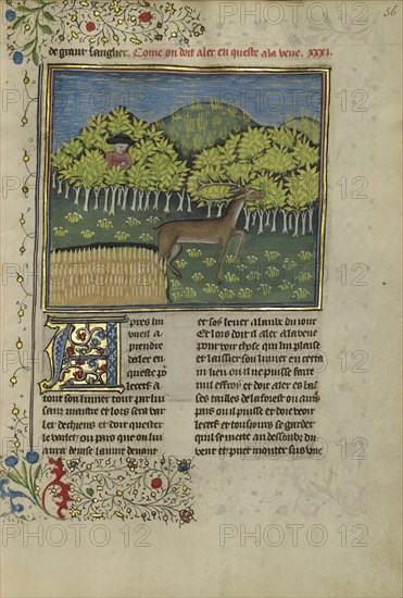 A Hunter Spotting a Deer; Brittany, France; about 1430 - 1440; Tempera colors, gold paint, silver paint, and gold leaf on