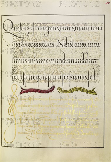Caterpillars; Joris Hoefnagel, Flemish , Hungarian, 1542 - 1600, and Georg Bocskay, Hungarian, died 1575, Vienna, Austria