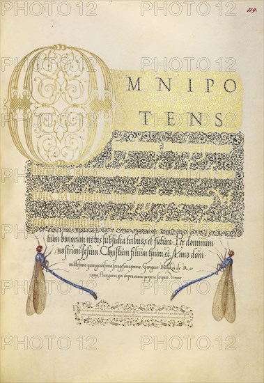 Damselflies; Joris Hoefnagel, Flemish , Hungarian, 1542 - 1600, and Georg Bocskay, Hungarian, died 1575, Vienna, Austria; 1561