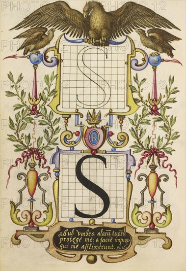 Guide for Constructing the Letter S; Joris Hoefnagel, Flemish , Hungarian, 1542 - 1600, Vienna, Austria; about 1591 - 1596