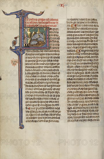 Initial L: A Shepherd with a Flock; Unknown, Michael Lupi de Çandiu, Spanish, active Pamplona, Spain 1297 - 1305, Northeastern