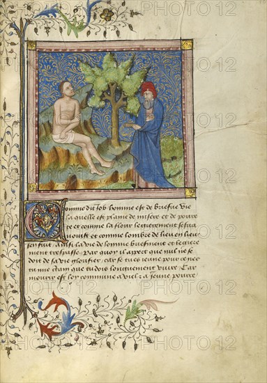 Job Speaking to a Friend; Avignon, probably, France; about 1430; Tempera colors, gold leaf, gold paint, and pen and ink