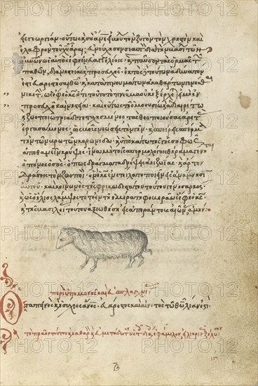 A Sheep; Crete, Greece; 1510 - 1520; Pen and red lead and iron gall inks, watercolors, tempera colors, and gold paint on paper
