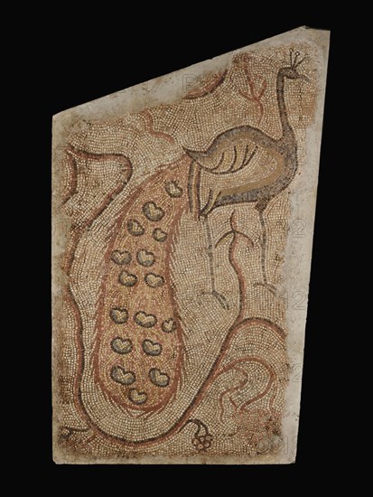 Mosaic Fragment with Peacock Facing Right; Syria; 5th - 6th century; Mosaic; 166.4 × 129.5 × 7.6 cm, 65 1,2 × 51 × 3 in