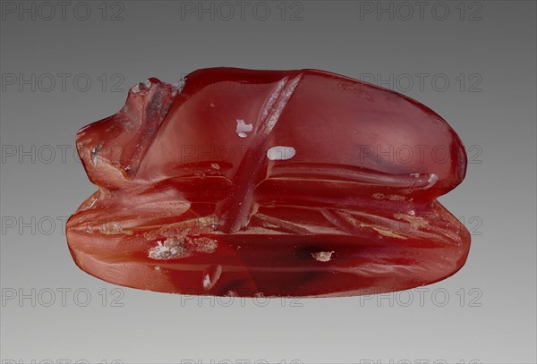 Engraved Scarab with Head of a Gorgon; about 500 B.C; Carnelian; 0.8 × 1.6 × 1.2 cm, 5,16 × 5,8 × 1,2 in