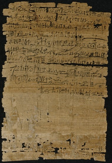 Fragment with Text and Vignettes; Egypt; 1200 - 1085 B.C; Papyrus and ink; 32.5 × 21.5 cm, 12 13,16 × 8 7,16 in