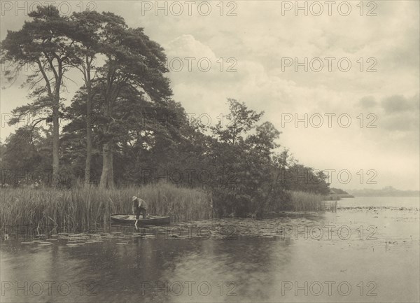 The Haunt of the Pike; Peter Henry Emerson, British, born Cuba, 1856 - 1936, 1886; Platinum print; 20.5 x 28.9 cm