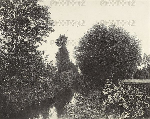 Banks of the Loire, Bords du Loir, Alphonse Jeanrenaud, French, 1835 - 1895, 1869; Heliogravure; 26.7 x 33.5 cm