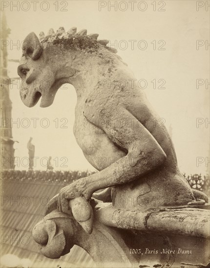 Gargoyle, Notre Dame, Paris, France; French; Paris, France; about 1870; Albumen silver print