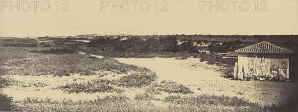 Italian landscape; Robert Macpherson, Scottish, 1811 - 1872, 1860s; Albumen silver print