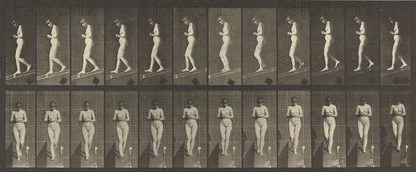 Animal Locomotion; Eadweard J. Muybridge, American, born England, 1830 - 1904, 1887; Collotype; 16.5 x 41.6 cm