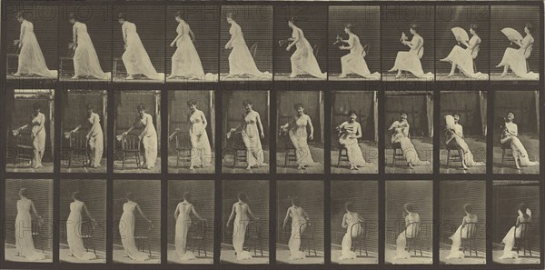 Animal Locomotion; Eadweard J. Muybridge, American, born England, 1830 - 1904, 1887; Collotype; 18.6 x 38.4 cm