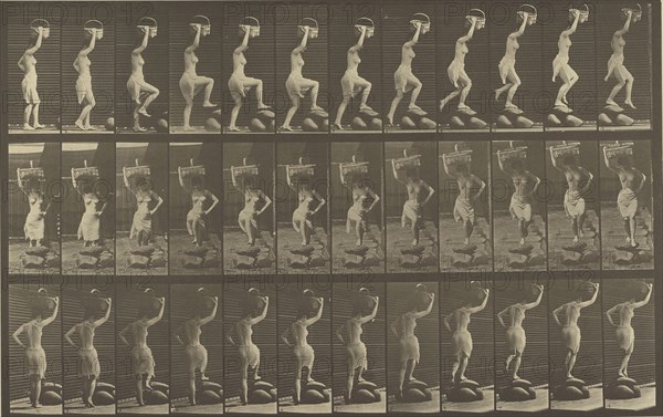 Animal Locomotion; Eadweard J. Muybridge, American, born England, 1830 - 1904, 1887; Collotype; 21.4 x 34 cm