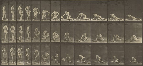 Animal Locomotion; Eadweard J. Muybridge, American, born England, 1830 - 1904, 1887; Collotype; 17.8 x 39.4 cm