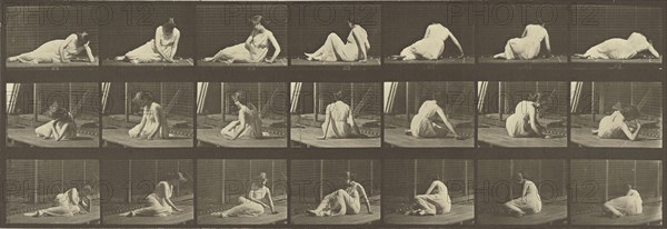 Animal Locomotion; Eadweard J. Muybridge, American, born England, 1830 - 1904, 1887; Collotype; 14.9 x 43.8 cm