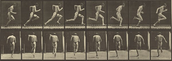 Animal Locomotion; Eadweard J. Muybridge, American, born England, 1830 - 1904, 1887; Collotype; 15.2 x 43.7 cm