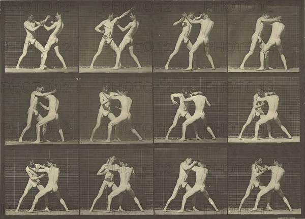 Animal Locomotion; Eadweard J. Muybridge, American, born England, 1830 - 1904, 1887; Collotype; 17.1 x 31.4 cm