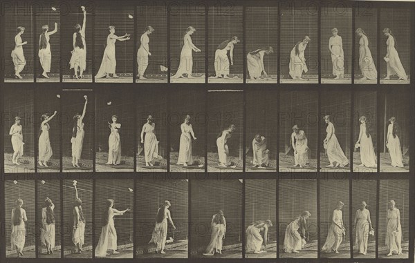 Animal Locomotion; Eadweard J. Muybridge, American, born England, 1830 - 1904, 1887; Collotype; 21.1 x 33.8 cm