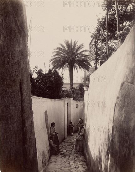 Capri; James Anderson, British, 1813 - 1877, about 1845 - 1877; Albumen silver print