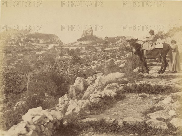 Capri child on mule; James Anderson, British, 1813 - 1877, about 1845 - 1877; Albumen silver print