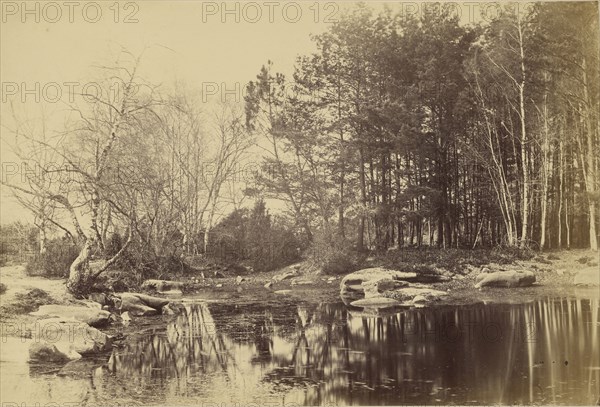 Fontainebleau; Paul De Gaillard, French, before 1810 - 1890, about 1865; Albumen silver print