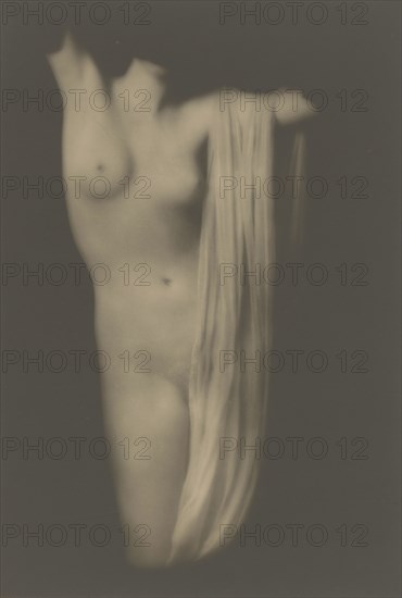 Modern Torso; Arnold Genthe, American, born Germany, 1869 - 1942, about 1918; Gelatin silver print; 34.3 x 23.5 cm