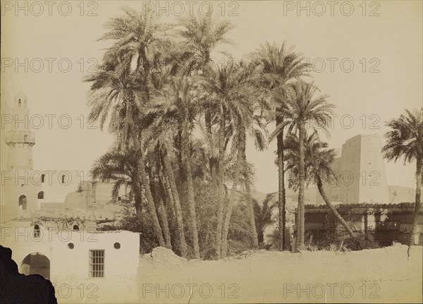 Village and Pylon of Edfu , Village et Pylone d'Edfou; Antonio Beato, English, born Italy, about 1835 - 1906, 1880 - 1889