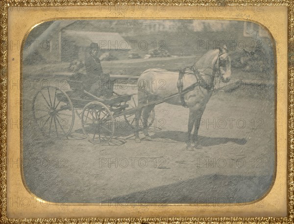 Horse and buggy with driver on seat with dog; American; about 1850; Daguerreotype