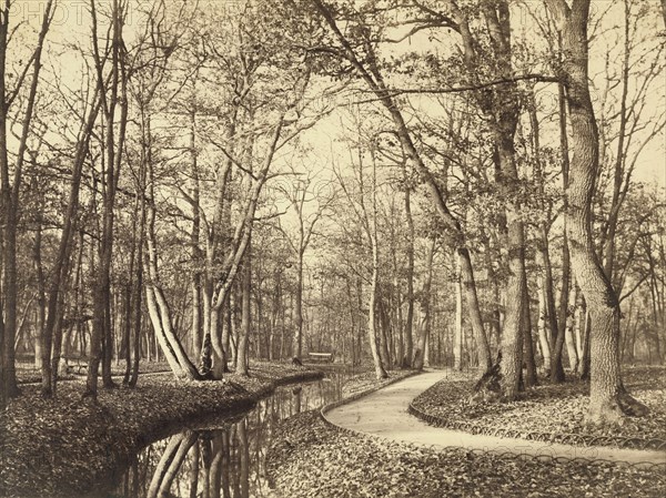 Bois de Boulogne, Paris; Charles Marville, French, 1813 - 1879, Paris, France; negative about 1858; print after 1871; Albumen